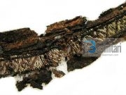 Pse Vikingët kishin të shkruar “Allah” në rroba?