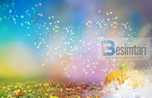 NDALU DHE MERR MËSIM