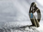 A janë xhinët shpirtra apo trupa?