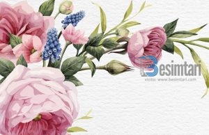 A E KENI LEXUAR HISTORINË E DHIMBSHME TË UMU SELEMES?