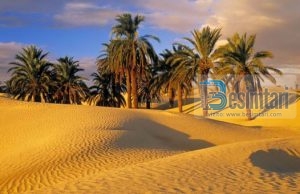 Si i keshillonte Profeti alejhi selam shoket e tij?