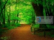 Pesë këshilla drejtë çlirimit të zemrës nga robëria e mëkateve!