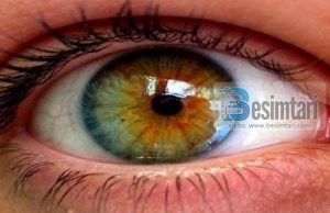 Doktori nga Egjipti zbuloi mjetin natyral që rikthen shikimin deri në 99%