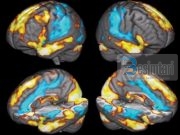 Falënderimi ndaj All-llahut dhe shkenca