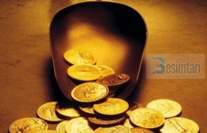 UNË TË BLEVA TOKËN JO FLORINJTË