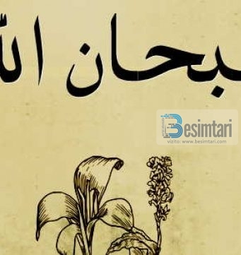 Idrisi a.s. ishte rrobaqepës, për çdo kalim të gjilpërës thoshte: SubhanAllah