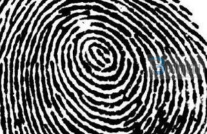 Gishtërinjtë tanë dalluesit…