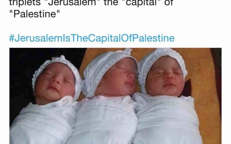 Treneqë u lindën në Palestinë, ja si u emërtuan…