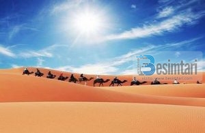 I panjohur në tokë, por shumë i njohur në qiej