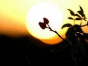 Nafaka do ta arriijë njeriun edhe nëse ai ik nga ajo