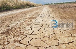 Izraeli në thatësirë të tejzgjatur, shteti bën thirrje për lutje masive ndaj Zotit