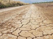 Izraeli në thatësirë të tejzgjatur, shteti bën thirrje për lutje masive ndaj Zotit