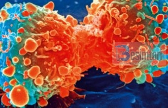 Për çdo sëmundje ka ilaç