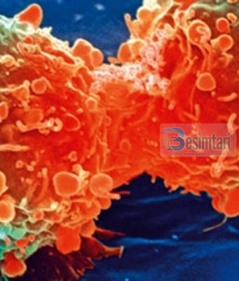 Për çdo sëmundje ka ilaç