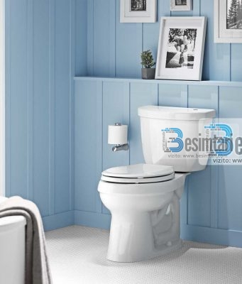 A lejohet ngrënia dhe pirja në tualet?