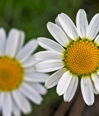 Mos i gjyko njerëzit me shpejtësi!