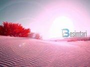 FALËNDERIMET E MIA TË PËRZEMËRTA