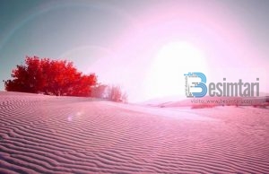 FALËNDERIMET E MIA TË PËRZEMËRTA