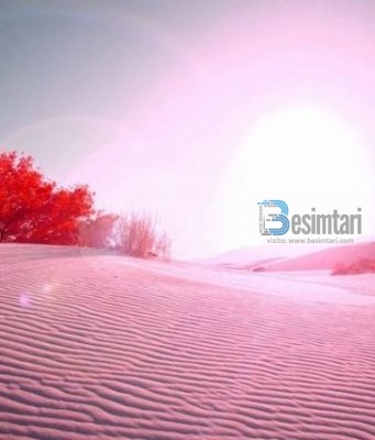 FALËNDERIMET E MIA TË PËRZEMËRTA