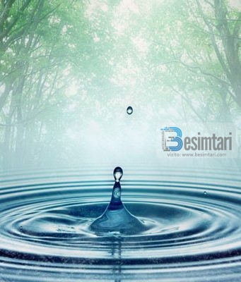 PSE ALLAHU I LARTËSUAR E SHEMBËLLEN JETËN E KËSAJ BOTE ME UJIN QË ZBRET NGA QIELLI?