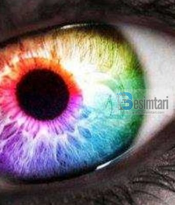 A është ”njeri i keq” ai që merr mësysh apo?