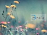 MOS E PËRZË TË MJERIN NGA DERA