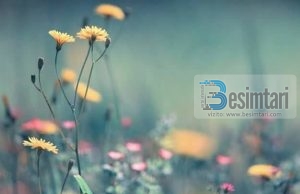 MOS E PËRZË TË MJERIN NGA DERA