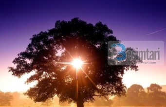 Islami dhe natyra e njeriut