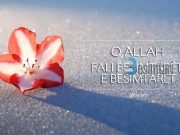 O ALLAH FALI BESIMTARËT E BESIMTARET