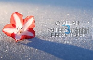 O ALLAH FALI BESIMTARËT E BESIMTARET