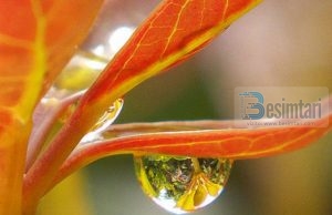 CILI ËSHTË NJERIU MË I MIRË TEK ALLAHU