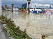 Duaja kunder vershimit. Thuaje