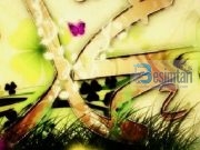 GRATË E TË DËRGUARIT TË ALLAHUT, LAVDIA DHE PAQJA E ALLAHUT QOFSHIN MBI TË