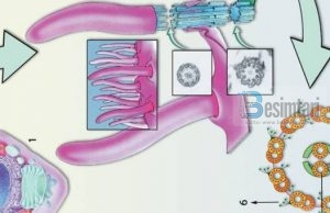 Prova shpjeguese të ekzistencës së Zotit