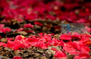 Si ta bësh gruan tënde të lumtur?