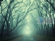 ÇFARË DO TË THOTË TË KËNDOSH JASIN?