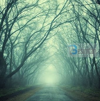 Kur ndonjë prindi i vdes evladi, Allahu iu thotë melekëve