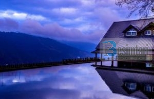 Si ta shërosh pikëllimin