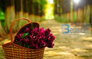 Thirrja në Islam, detyrë e çdo muslimani