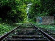 TRE VËLLEZËR (Tregim mbresëlënës)