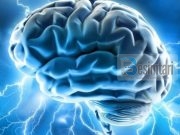 PËR NJË MENDJE TË MENÇUR!!