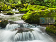 100 Shkallet që ka Xheneti