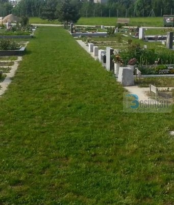 Nuk përgojojnë, nuk janë ziliqarë, nuk urrejnë