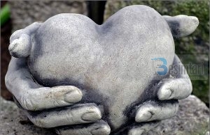 CILI ËSHTË ILAÇI PËR ZEMRËN E NGURTË