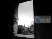 PLUHËRI I GJYNAHEVE!