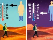 14 trika që do t’ju ndihmojnë të mbijetoni në një situatë të jetë apo vdekje