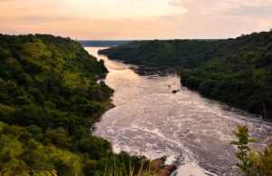 4 KRIJESAT E XHENETIT NË TOKË