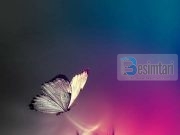 A DONI TJU SHTOHET FURNIZIMI? JEPNI HUA ALLAHUT!