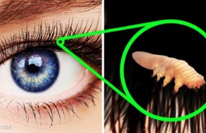 Fakte interesante për trupin tonë