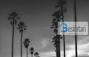 SHPIRTI MË NXITË DREJT GJYNAHEVE, MË KËSHILLO!